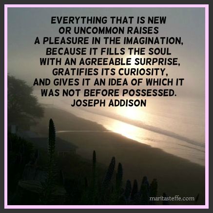 curiosity quote